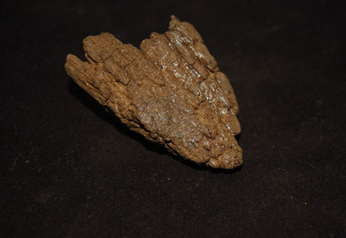 ��ˮŪ���㡪������