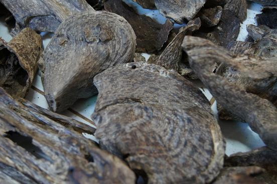 ��ˮŪ���㡪������