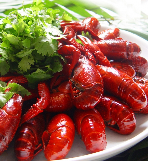 Ѱζ���������ʳ ������족�������嶾��