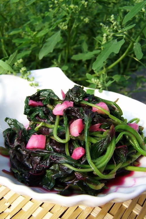 Ѱζ���������ʳ ������족�������嶾��