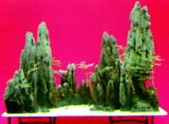 ����ɽˮ�辰