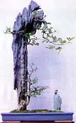 ���޷�����շ�