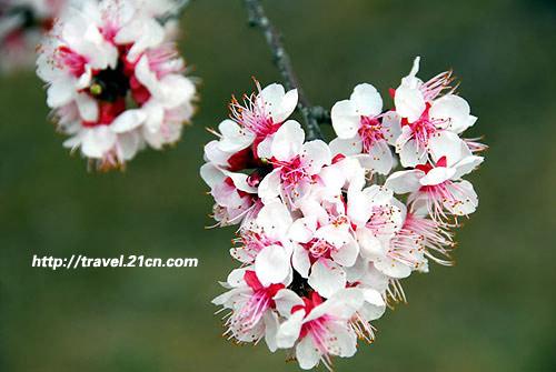 ����̤�� �����ܱ��ͻ�ȫ����