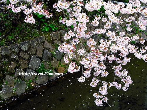 ����̤�� �����ܱ��ͻ�ȫ����