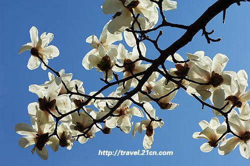 ����̤�� �����ܱ��ͻ�ȫ����