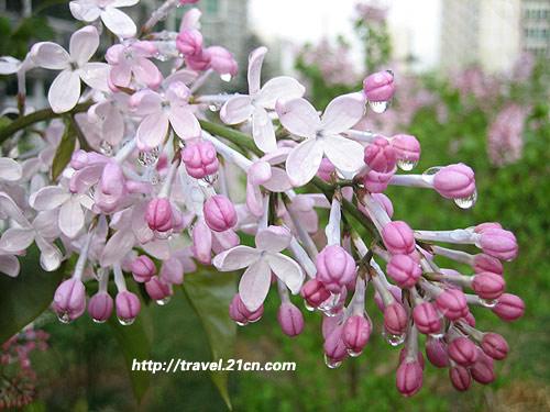 ����̤�� �����ܱ��ͻ�ȫ����