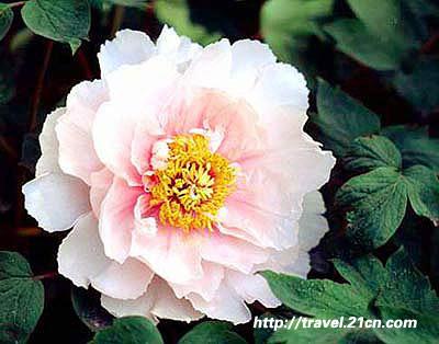 ����̤�� �����ܱ��ͻ�ȫ����