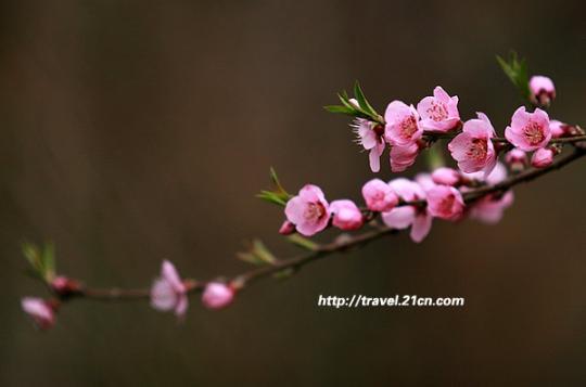 ����̤�� �����ܱ��ͻ�ȫ����