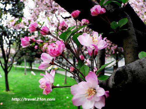 ����̤�� �����ܱ��ͻ�ȫ����