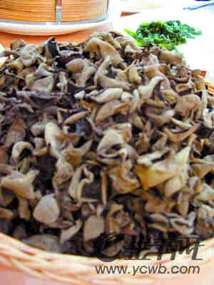 ʳ�ļ�֤�� ��˵�����