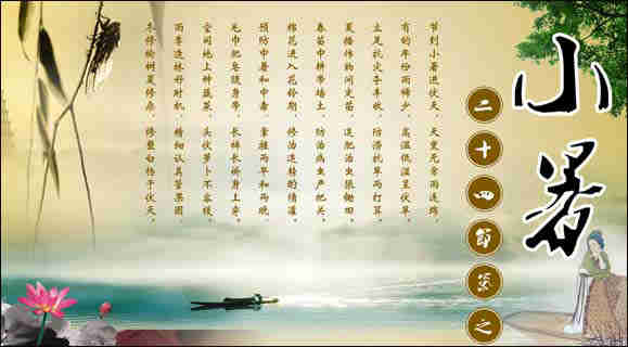 24����֮С����ʳ��������