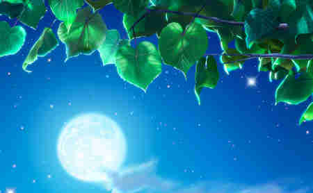 24����֮С������������