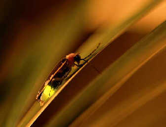 �����������������