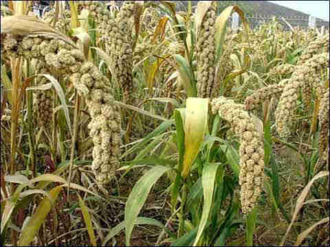 24���������������Ƽ�