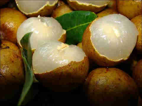 ��¶��ʳ��������