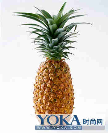 ��ʳ��ʳ �߸�����ʳ��ȥ��