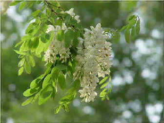 ��ʮ�Ľ���������������