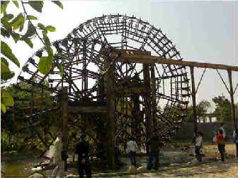 С����ʳ��������