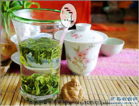 ��������������Ƭ