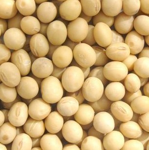 ����������ʳ���ؾ�