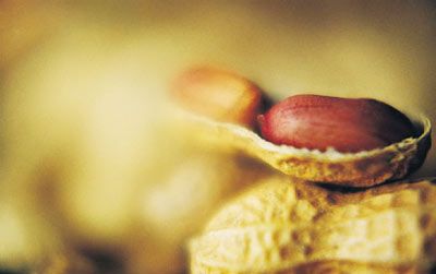 ����������ʳ���ؾ�