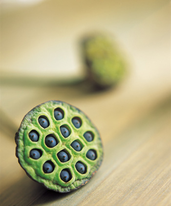 ����������ʳ���ؾ�